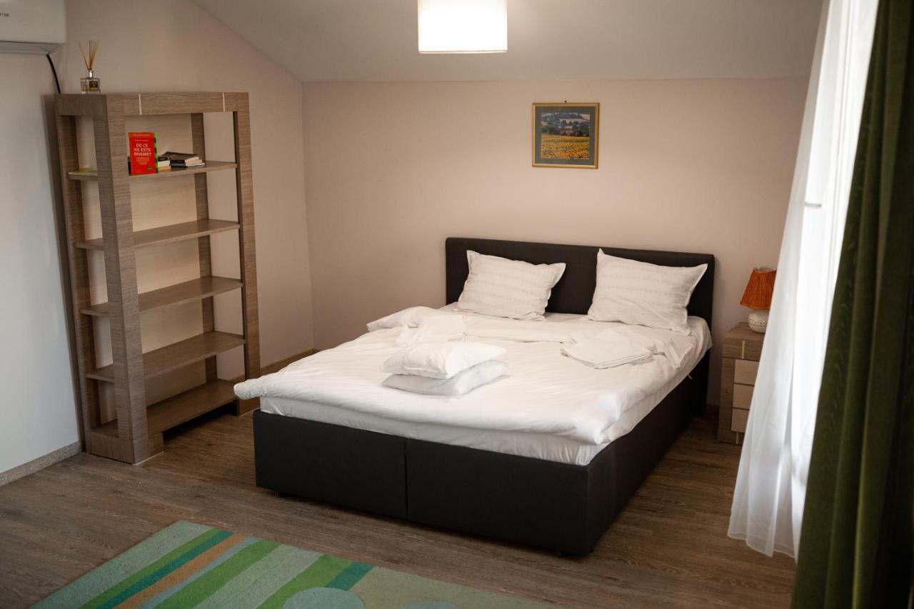 Viking Apartment Grigo クルージュ＝ナポカ エクステリア 写真