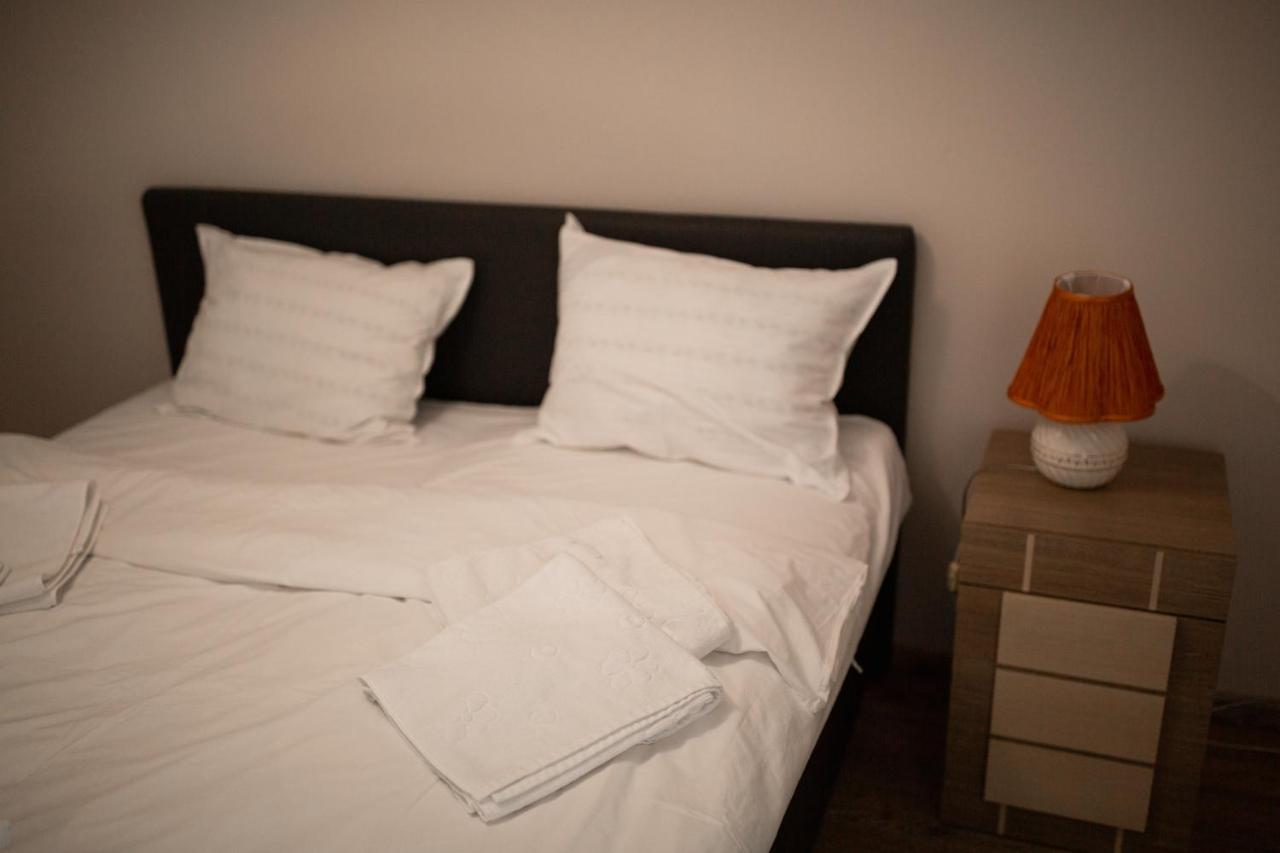 Viking Apartment Grigo クルージュ＝ナポカ エクステリア 写真