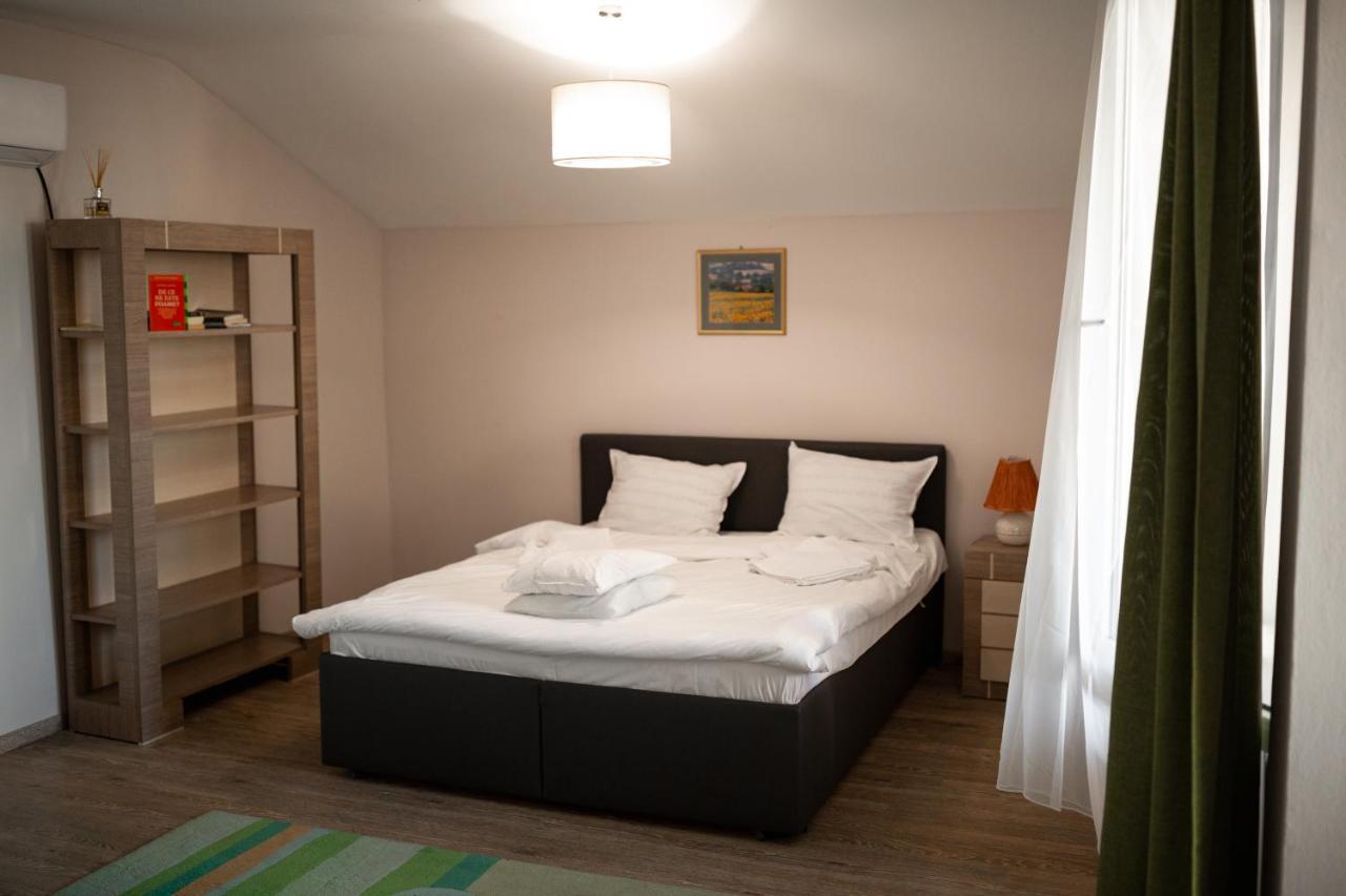Viking Apartment Grigo クルージュ＝ナポカ エクステリア 写真