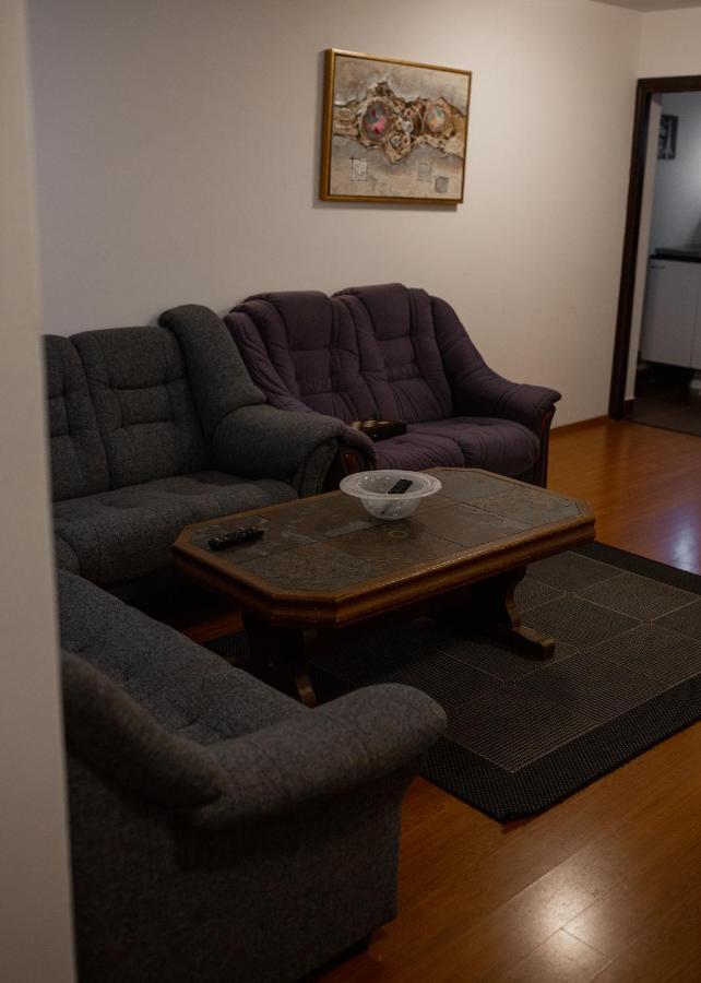 Viking Apartment Grigo クルージュ＝ナポカ エクステリア 写真
