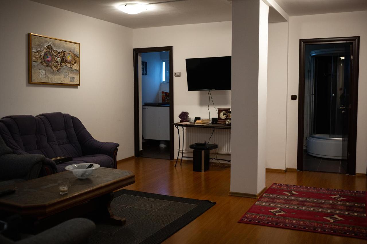 Viking Apartment Grigo クルージュ＝ナポカ エクステリア 写真
