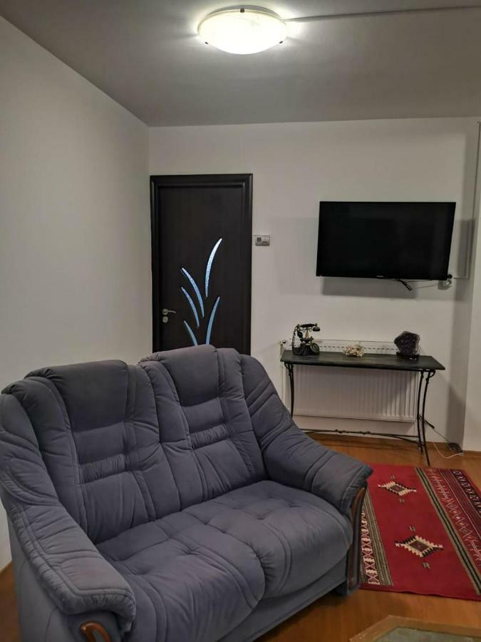 Viking Apartment Grigo クルージュ＝ナポカ 部屋 写真