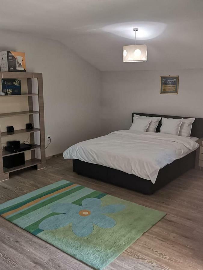 Viking Apartment Grigo クルージュ＝ナポカ エクステリア 写真